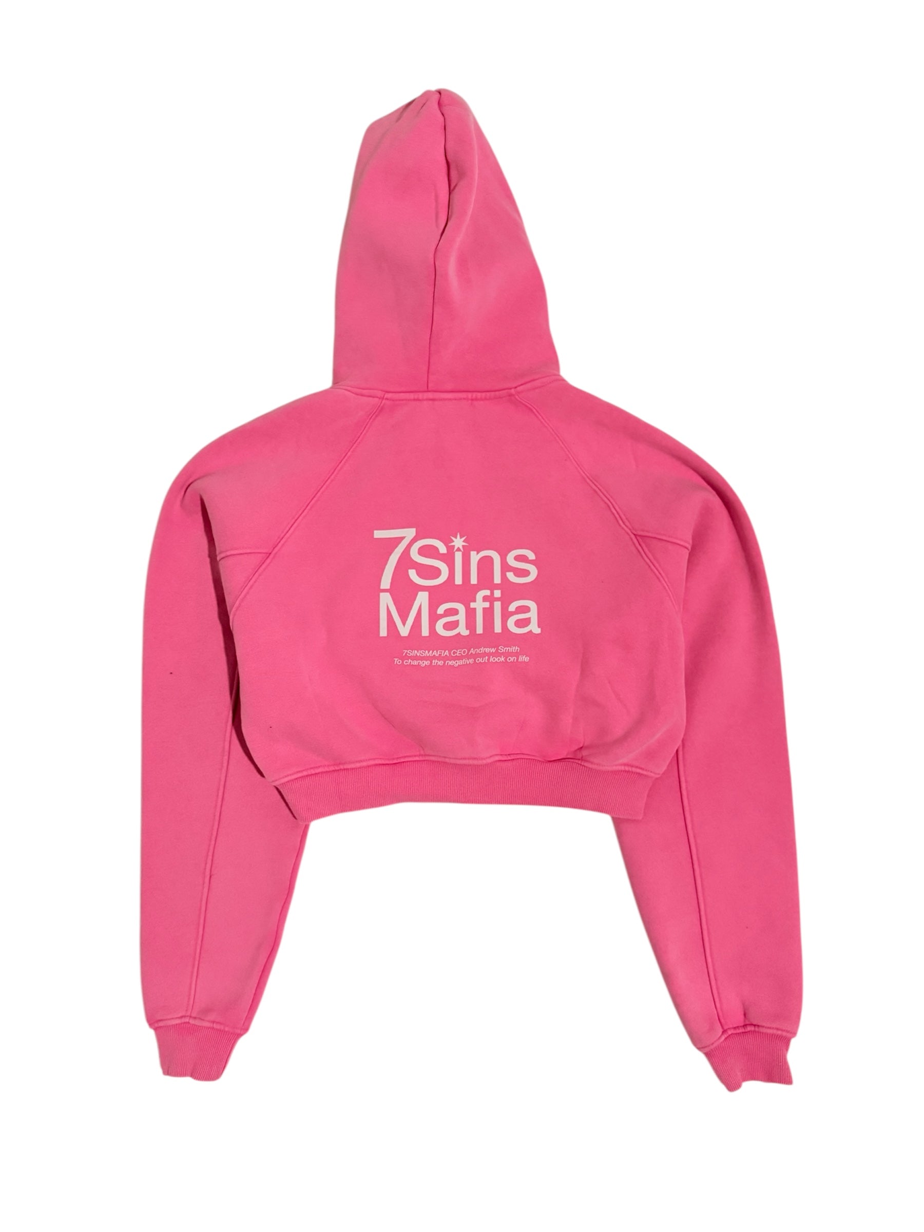 Washed Cropped Hoodie