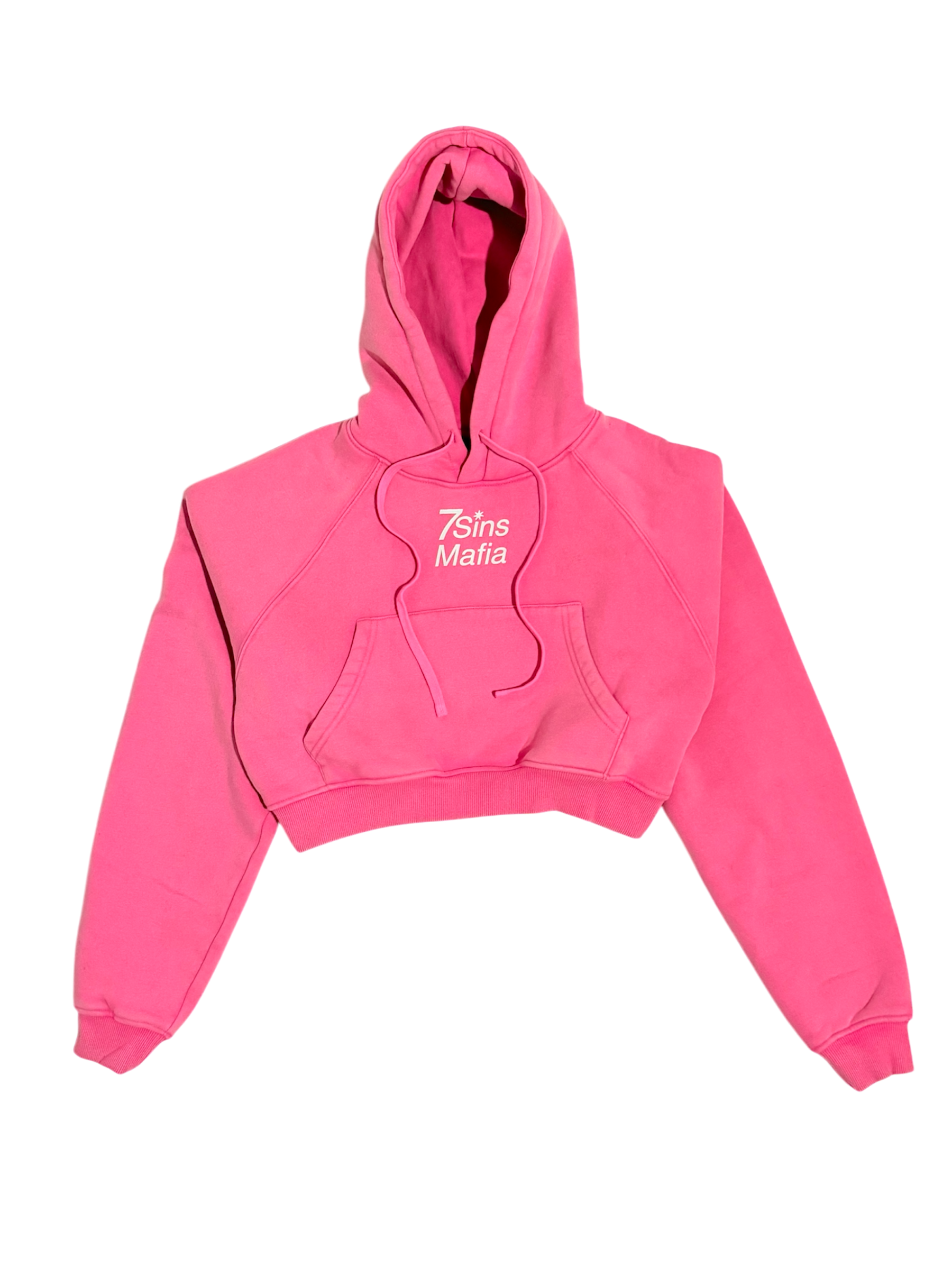 Washed Cropped Hoodie